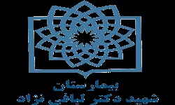 Mohammad Hossein Soltani