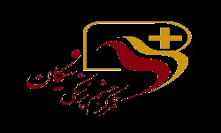 Mohammad Mehdi Sadoughi