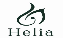 دکتر امیرپاشا ابراهیمی