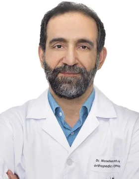 Nader Motallebizadeh